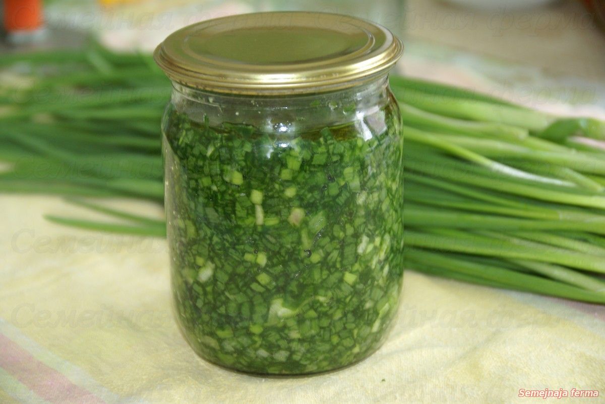 Зеленый лук как сохранить рецепт